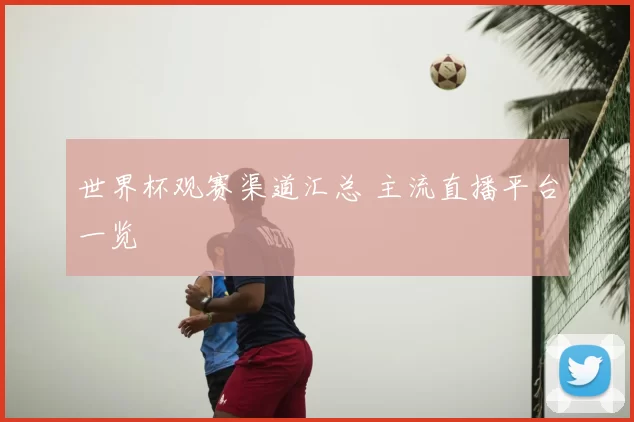 世界杯观赛渠道汇总 主流直播平台一览