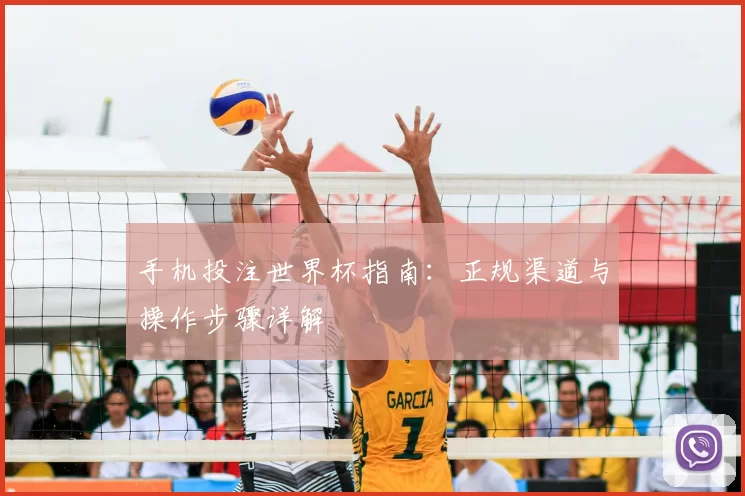 手机投注世界杯指南：正规渠道与操作步骤详解