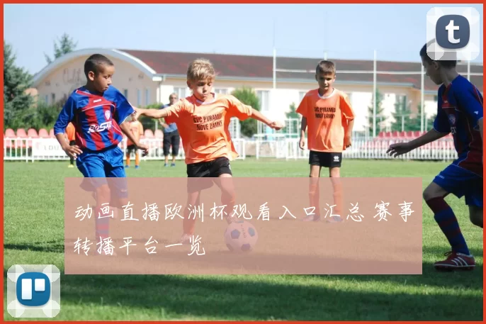 动画直播欧洲杯观看入口汇总 赛事转播平台一览