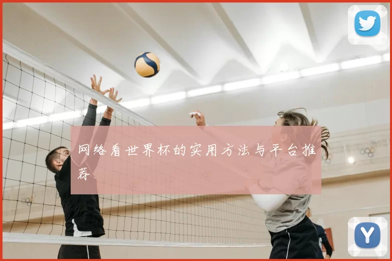 网络看世界杯的实用方法与平台推荐