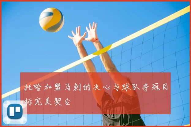托哈加盟马刺的决心与球队夺冠目标完美契合