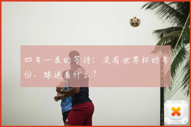 四年一度的等待：没有世界杯的年份，球迷看什么？