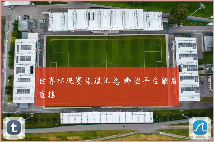 世界杯观赛渠道汇总 哪些平台能看直播