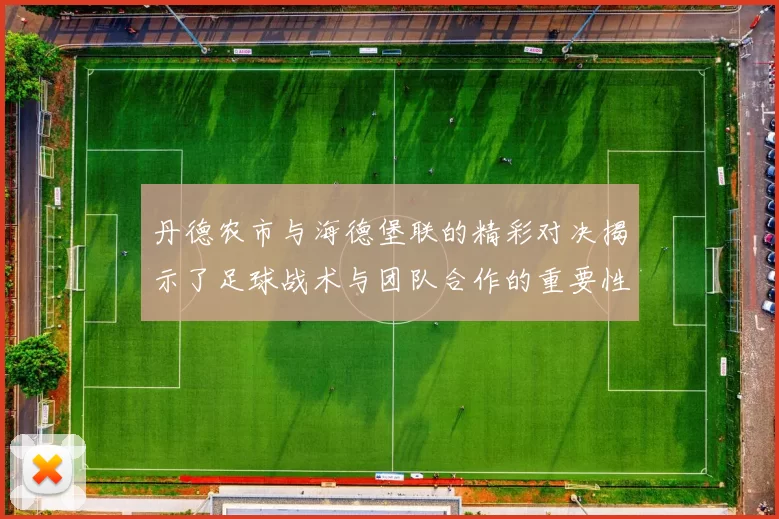 丹德农市与海德堡联的精彩对决揭示了足球战术与团队合作的重要性