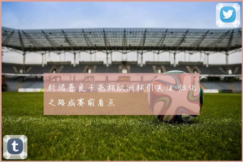 科诺普良卡亮相欧洲杯引关注 归化之路成赛前看点