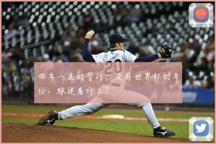 四年一度的等待：没有世界杯的年份，球迷看什么？