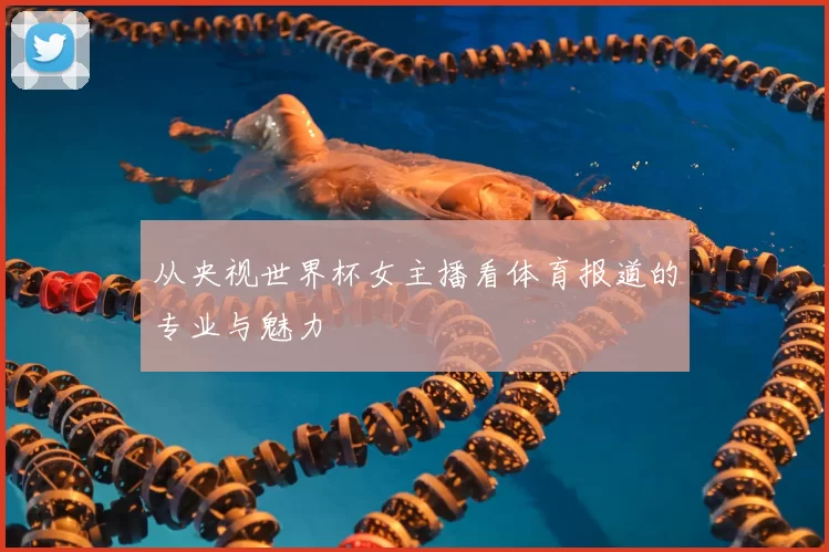 从央视世界杯女主播看体育报道的专业与魅力