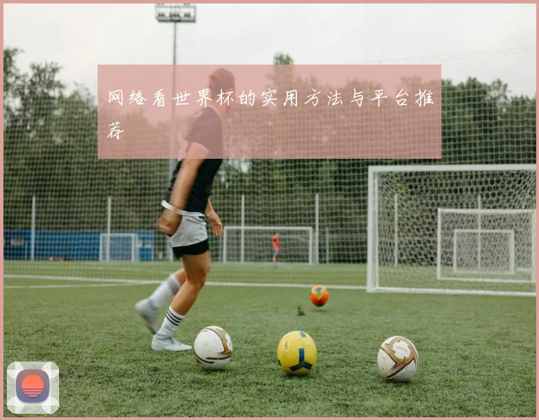 网络看世界杯的实用方法与平台推荐