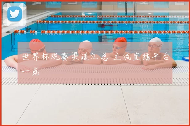 世界杯观赛渠道汇总 主流直播平台一览