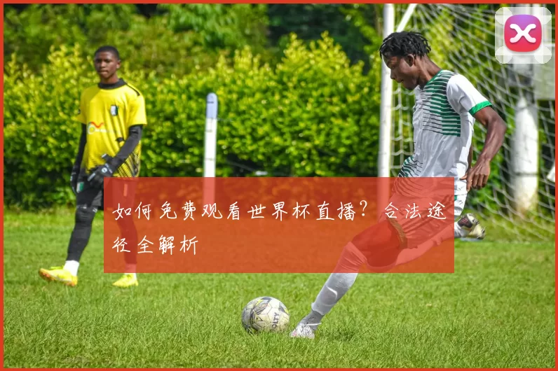 如何免费观看世界杯直播?合法途径全解析