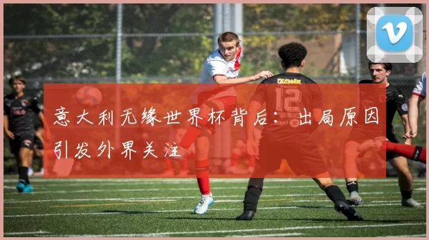 意大利无缘世界杯背后：出局原因引发外界关注
