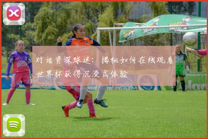 对话资深球迷：揭秘如何在线观看世界杯获得沉浸式体验