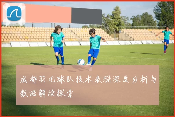 成都羽毛球队技术表现深度分析与数据解读探索