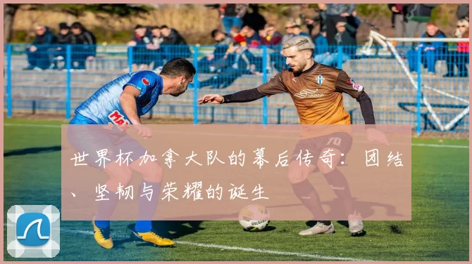 世界杯加拿大队的幕后传奇:团结、坚韧与荣耀的诞生